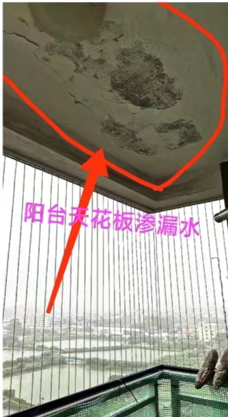 微信图片_20240618221359.jpg
