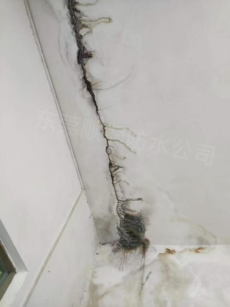 微信图片_20250216100223.jpg