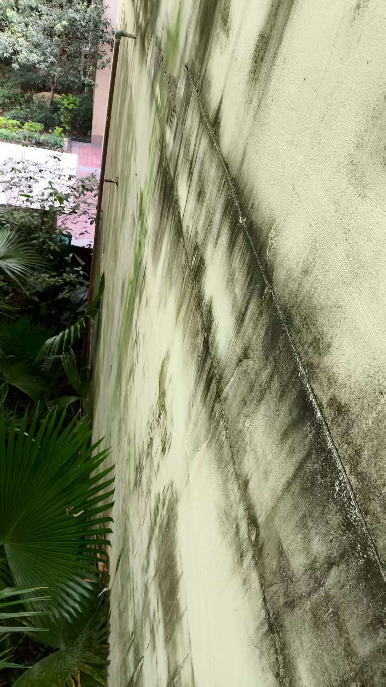 微信图片_20250906154827_32_2.jpg