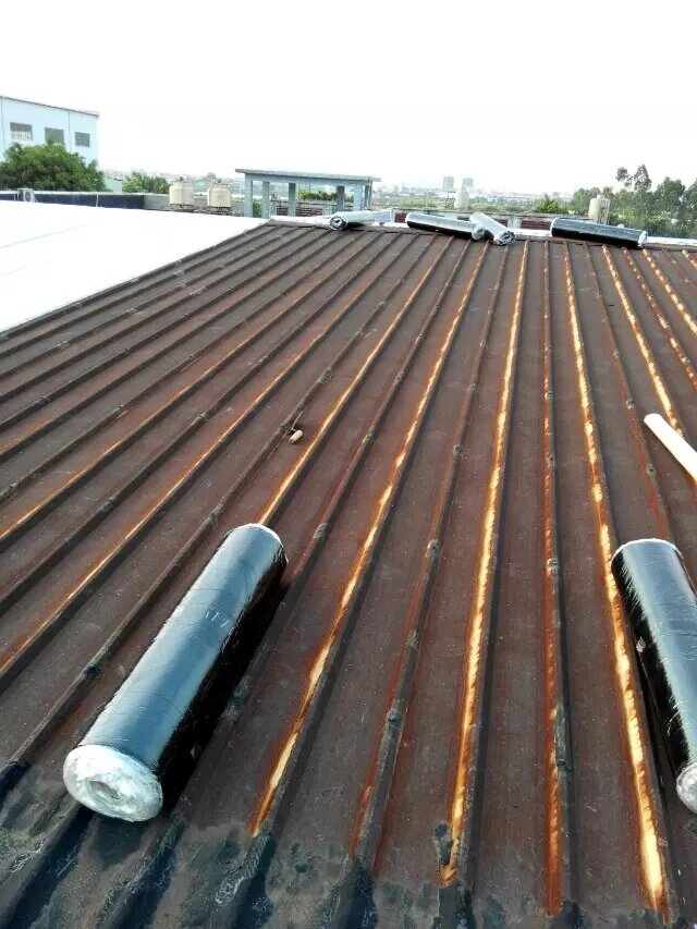 1765162177319327.jpg 18.jpg