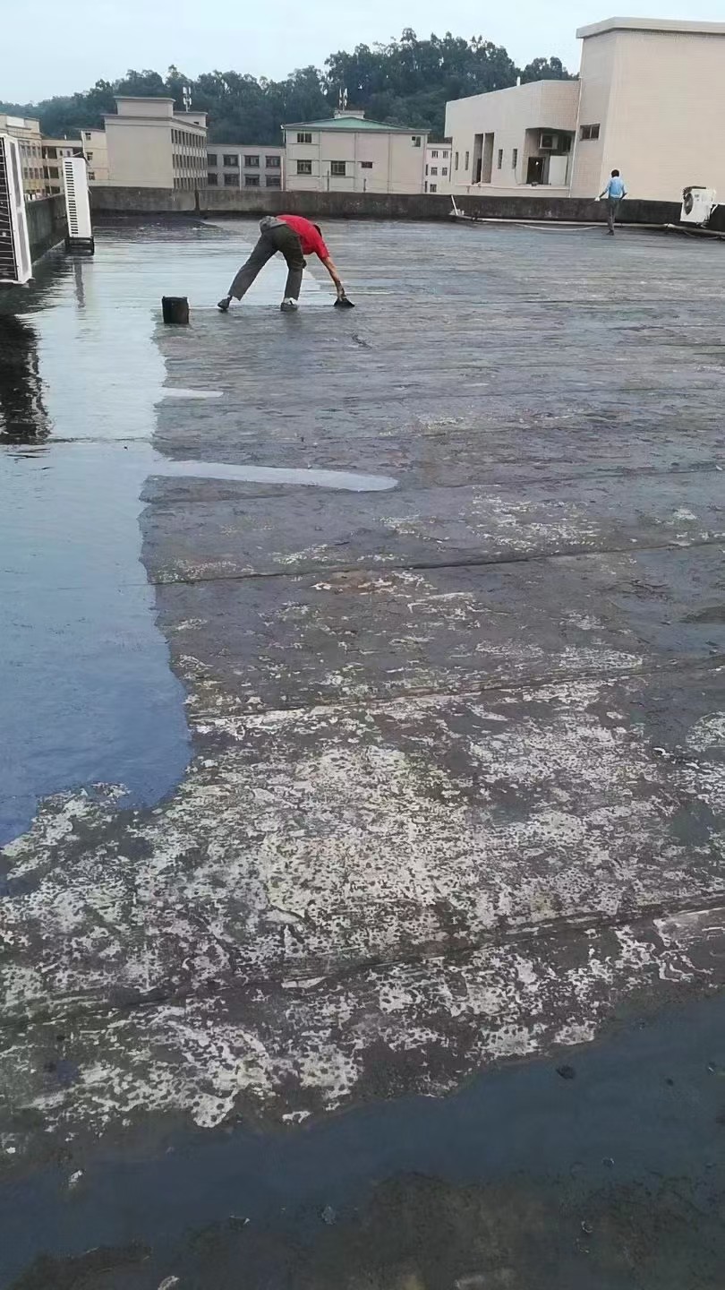 1765787084541895.jpg 微信图片_20250828095336.jpg